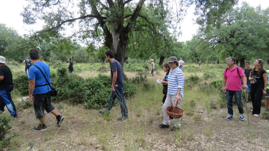 32 natural history museum meteora mushroom museum.JPG